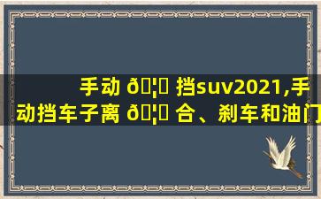 手动 🦅 挡suv2021,手动挡车子离 🦋 合、刹车和油门顺序